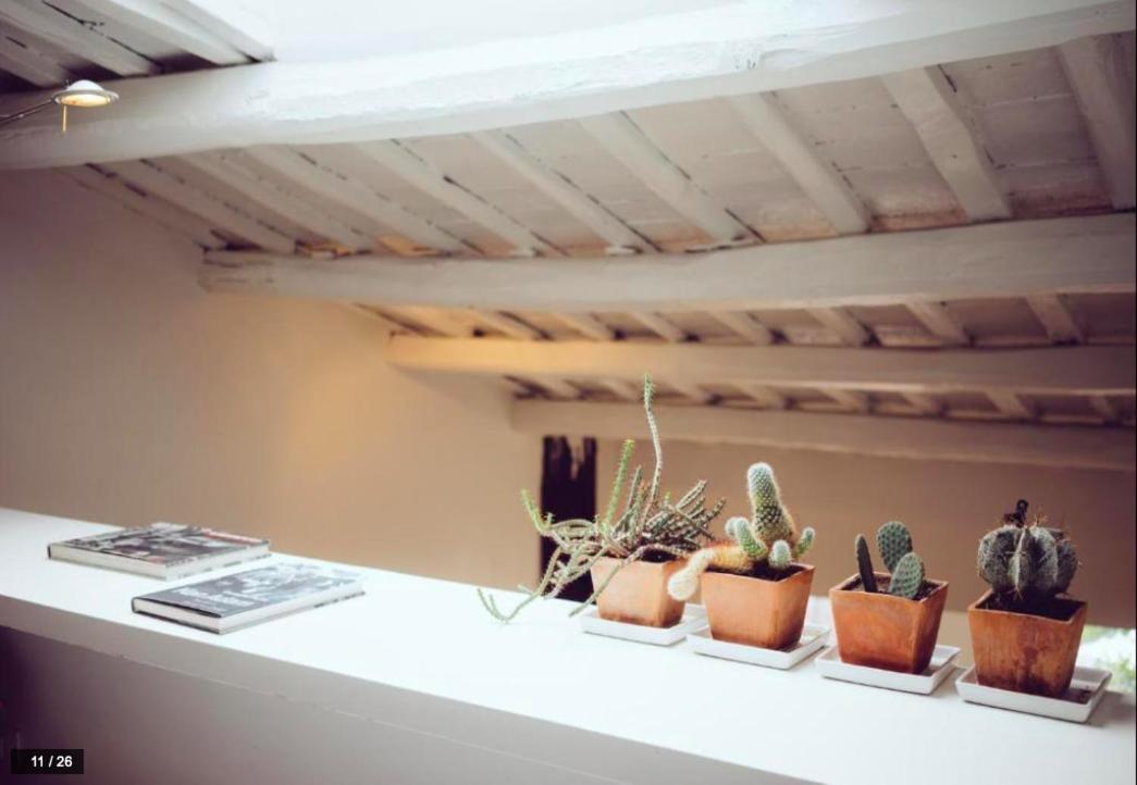 Luxury Art Apartment In Trastevere With Terrace Rzym Zewnętrze zdjęcie